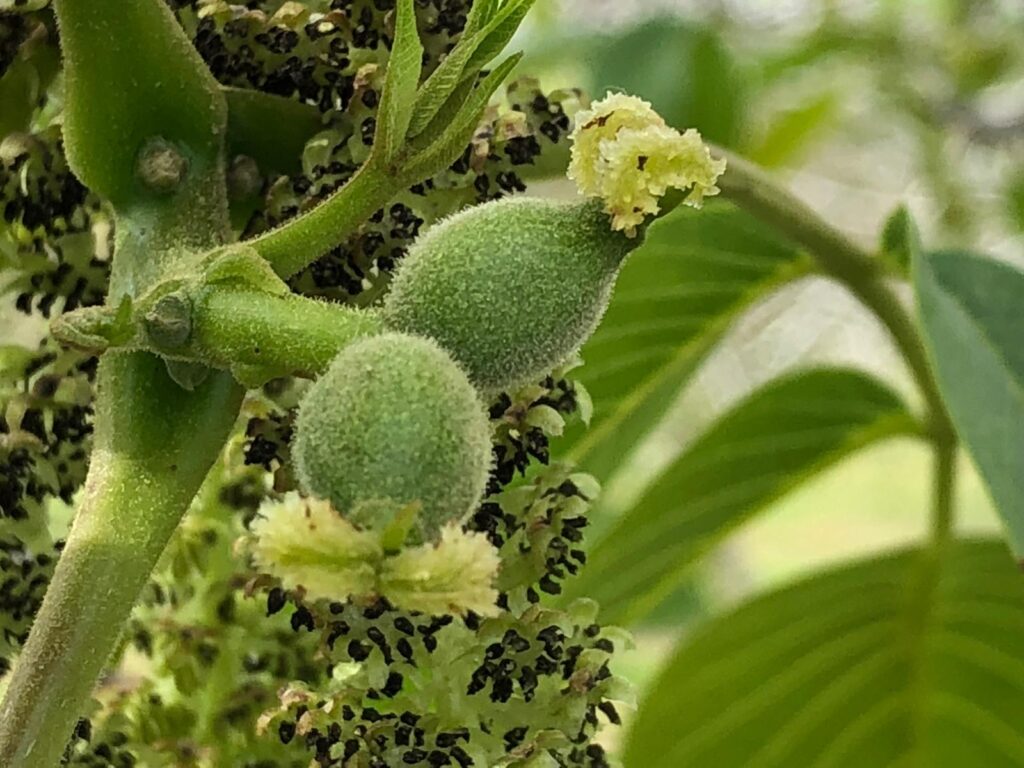 WhatsApp Image 2025-05-23 at 20.00.31